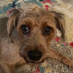 Meet your Posher, Sonya